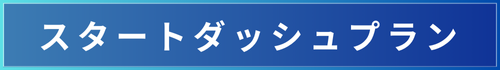 スタートダッシュプラン スタートダッシュプラン