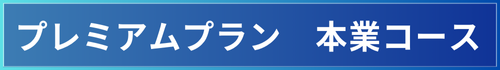 プレミアムプラン 本業コース プレミアムプラン 本業コース