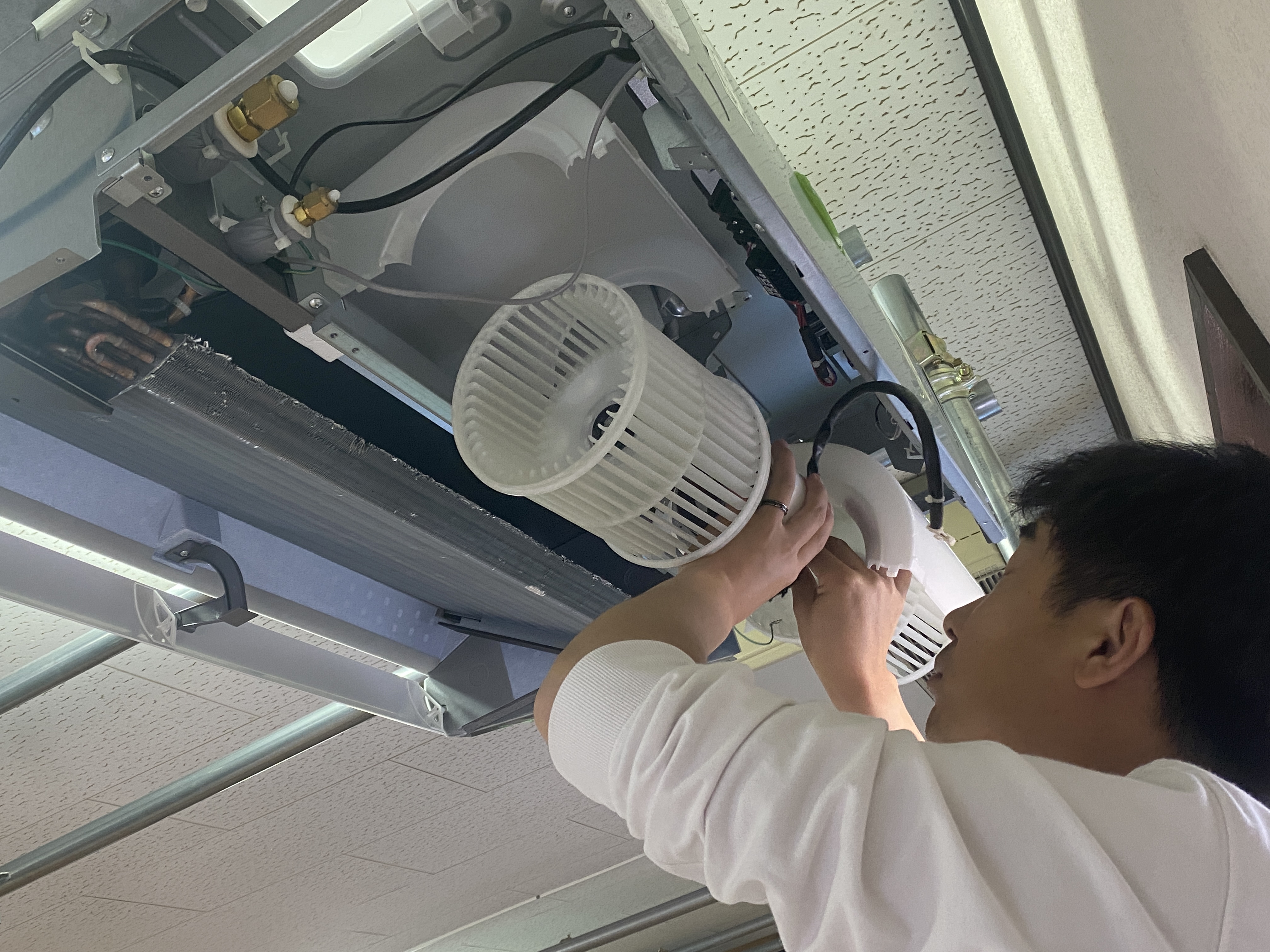 ���É��V��݂艺���^�G�A�R�����C